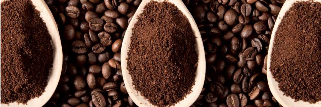 Café (granos de café y café molido).